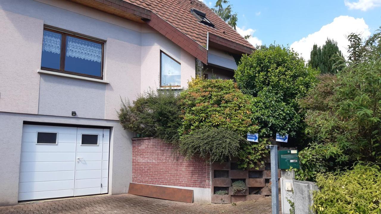 Ravissant studio dans un cadre agréable Soultz-Haut-Rhin Exterior foto