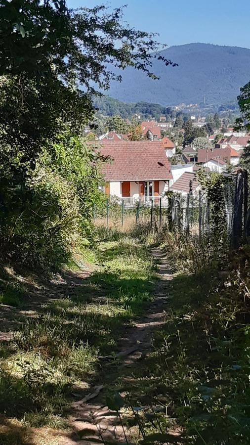 Ravissant studio dans un cadre agréable Soultz-Haut-Rhin Exterior foto